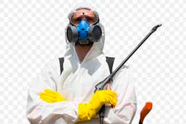 dedetização 24 horas