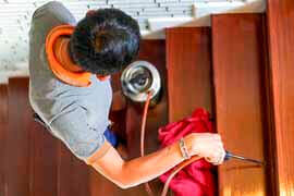 dedetização kalec dia e noite