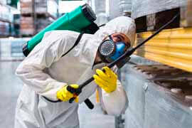 dedetizadora 24 horas