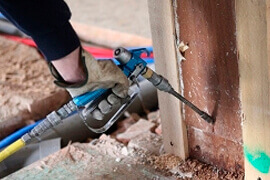 dedetização kalec 24 horas